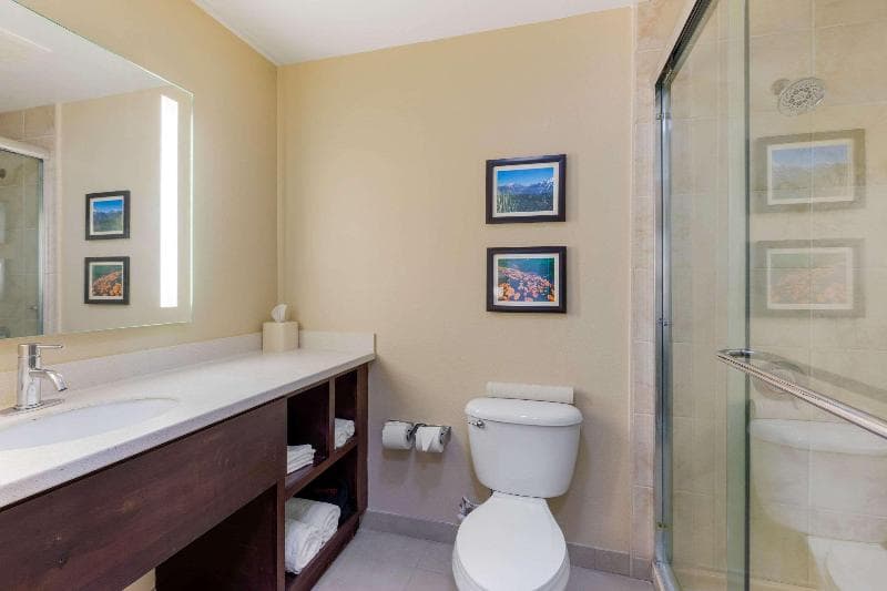 Comfort Inn & Suites Near Ontario Airport 2