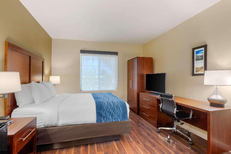 Comfort Inn & Suites Near Ontario Airport 4