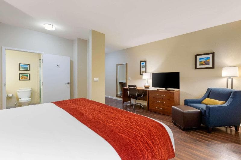 Comfort Inn & Suites Near Ontario Airport 5