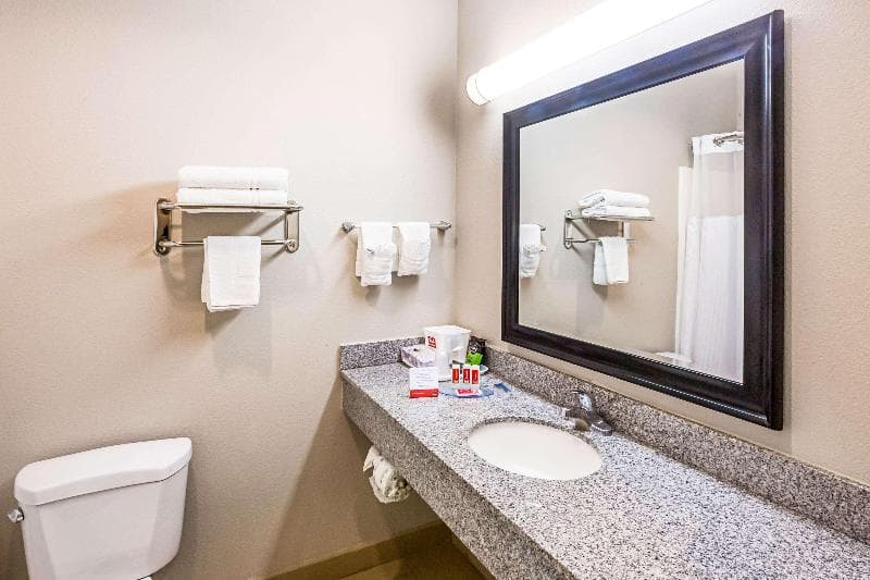 Econo Lodge Baton Rouge University Area 5