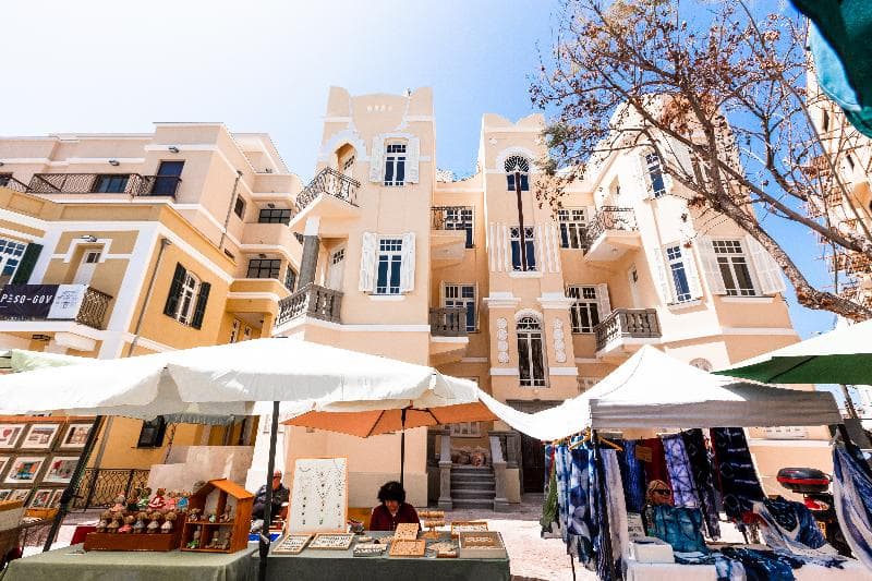 House Of Palm 3