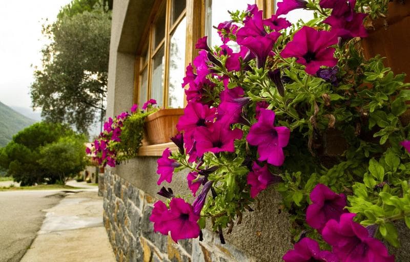 Hostal Montserrat 2