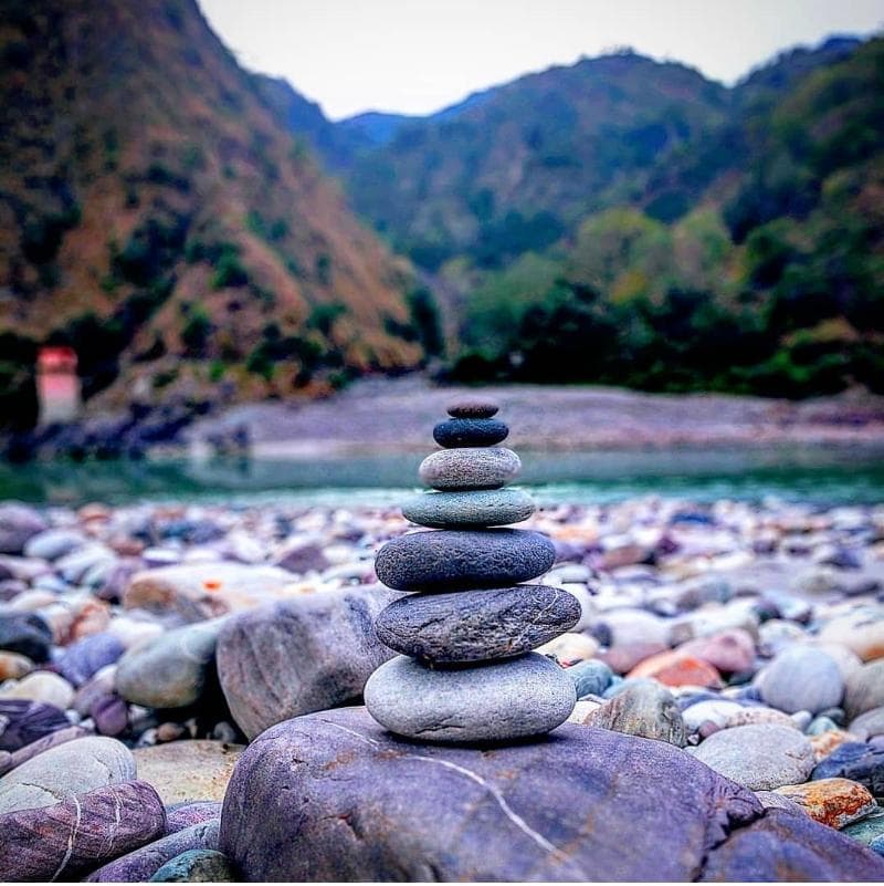 Taj Rishikesh Resort & Spa 4