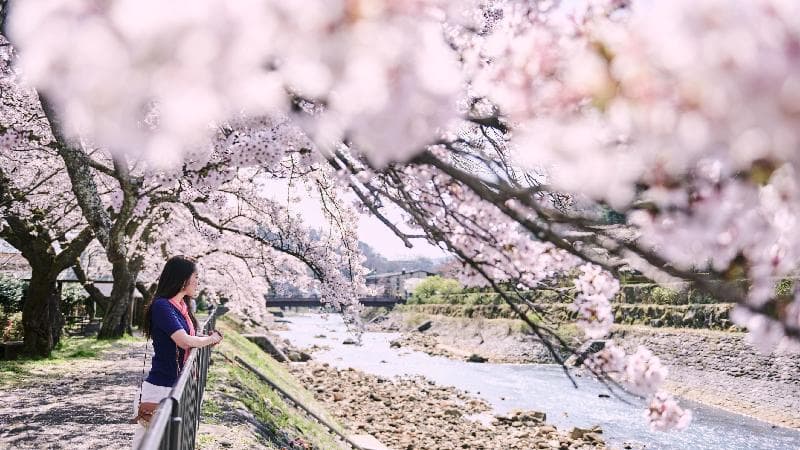 Hotel Indigo HAKONE GORA 3