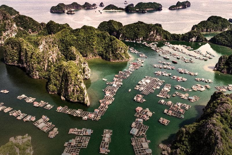 Heritage Line Ylang Cruise-Ha Long Bay And Lan Ha 5