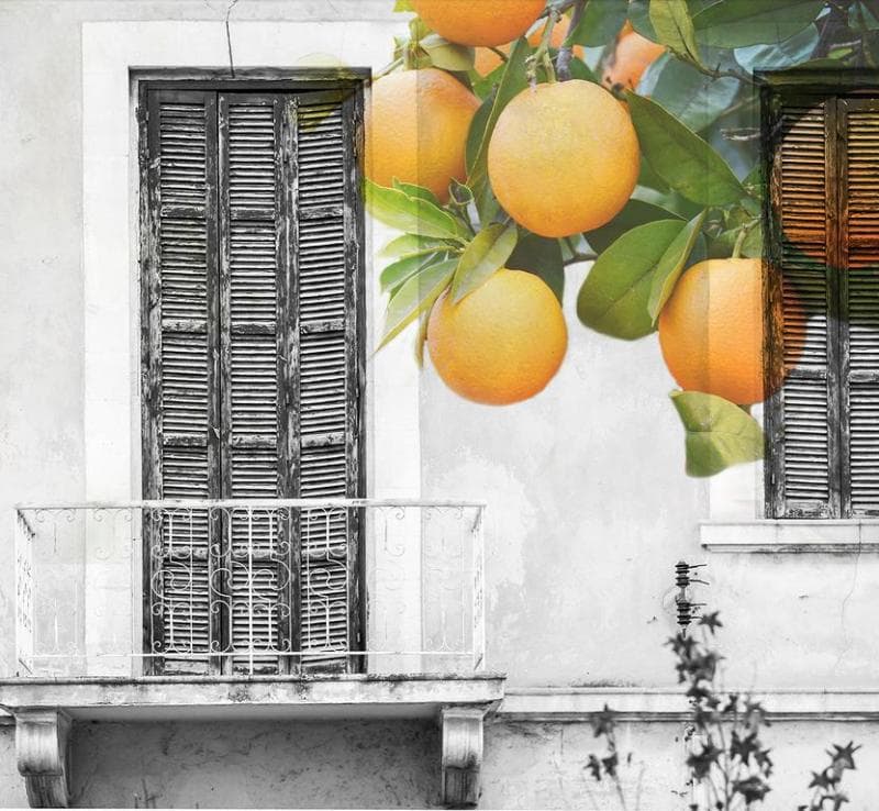 Casa Mespilea 4