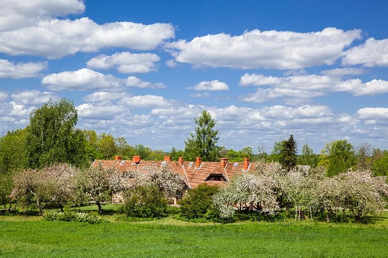 Karlamuiza Country Hotel 3