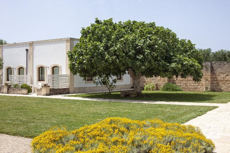 Masseria Corda Di Lana 3