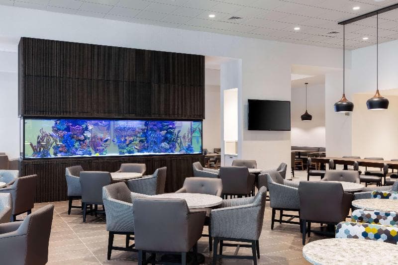 Hyatt Place Atlanta / Centennial Park 3