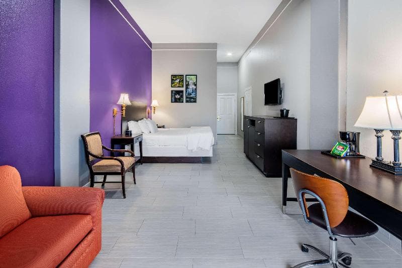 La Quinta Inn & Suites By Wyndham Alamo - Mcallen 5
