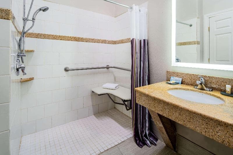 La Quinta Inn & Suites By Wyndham Alamo - Mcallen 4