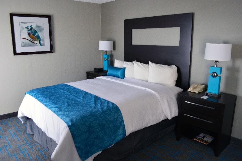 Holiday Inn & Suites Syracuse Airport - Liverpool 5