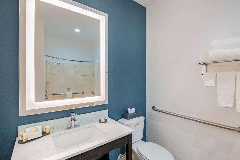La Quinta Inn Suites By Wyndham Dalhart 4