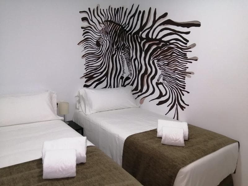 Las Cebras Hostel 5
