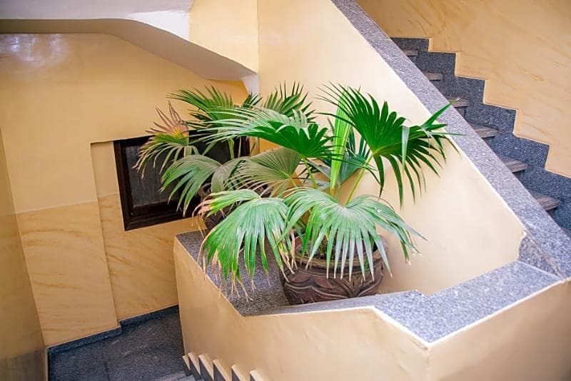Guardian Guest House photo 1