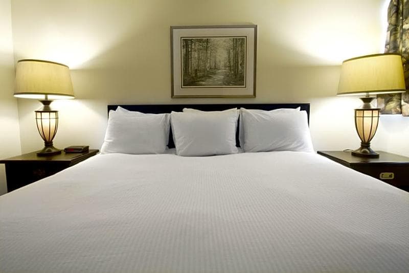 The Business Inn 4