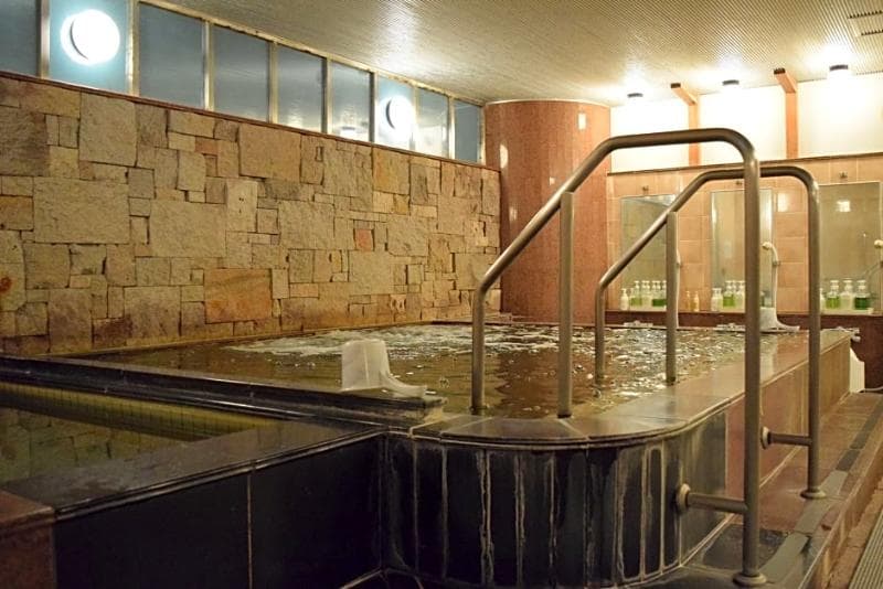 Asakusa Central Hotel 5
