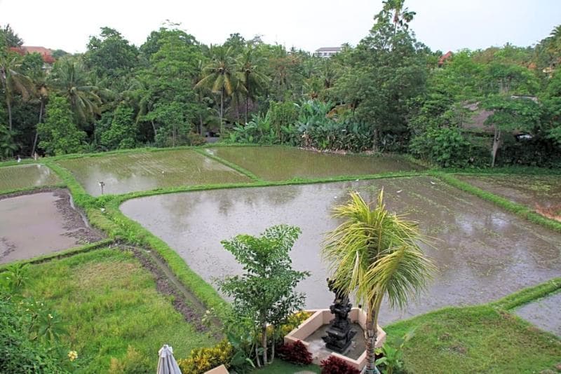 Byasa Ubud 5