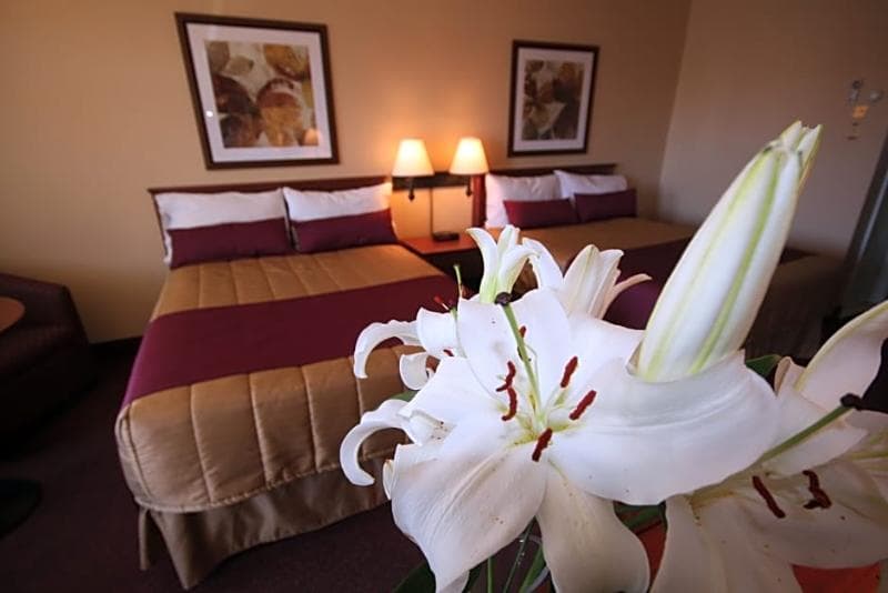 Motel Adam 4