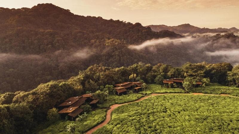 One&Only Nyungwe House 2