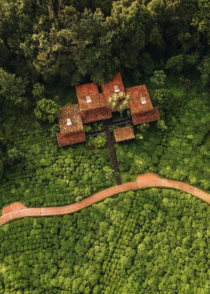One&Only Nyungwe House 3