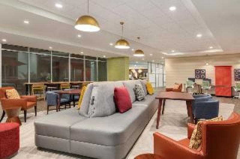 True by Hilton Scottsdale Salt River 5