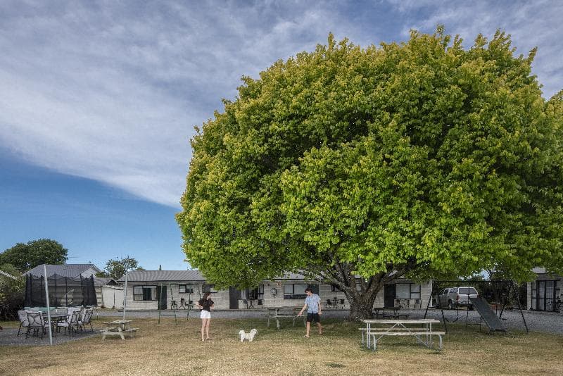 Cornwall Park Motel 3