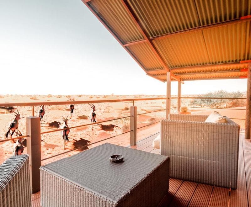 Bagatelle Kalahari Game Ranch 2