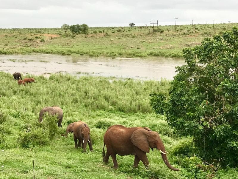 Elephant Walk Retreat main