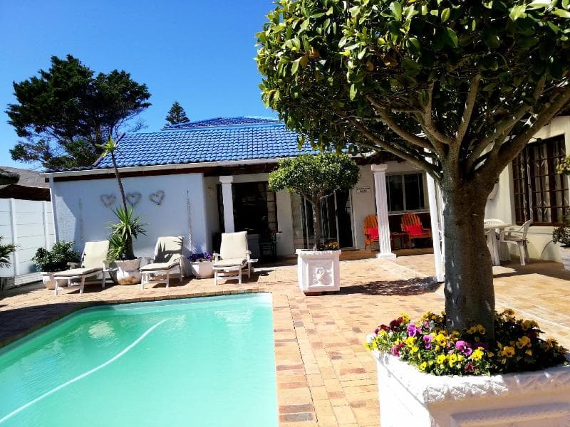Dolphin Inn Guest House 3