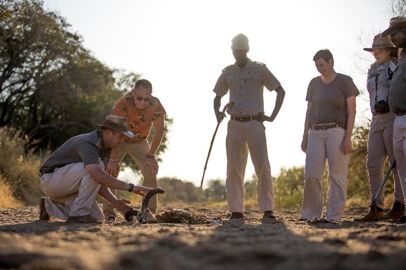 Shiduli Private Game Lodge 3