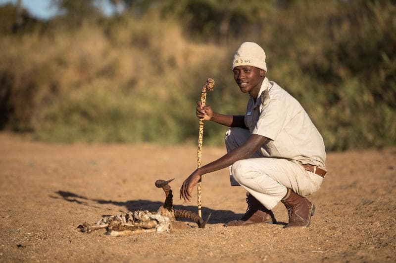 Shiduli Private Game Lodge 4