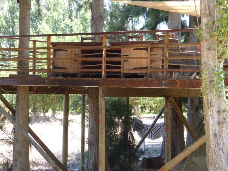 Vindoux Tree House Guest Farm & Spa 4