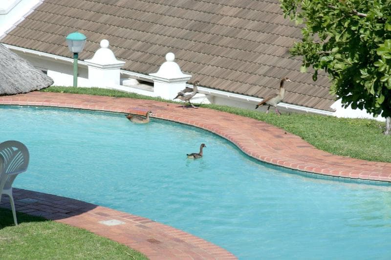 The Estuary Hotel & Spa photo 1