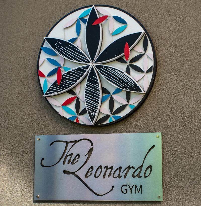 The Leonardo 3