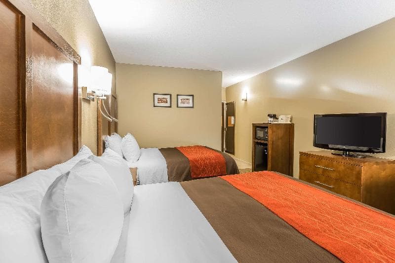Comfort Inn & Suites photo 1