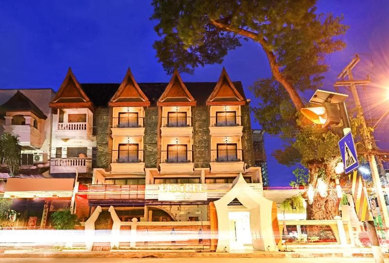 Big Tree Old Town Hotel 3