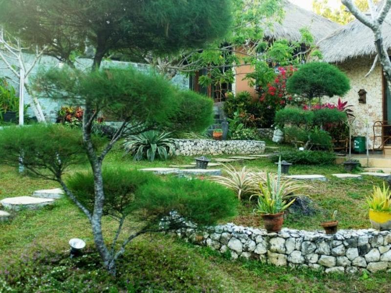 Villa Anjing 5