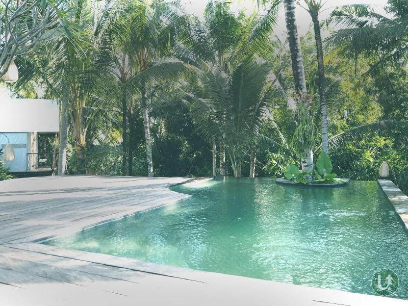Ubud Tropical (Adults Only) 3