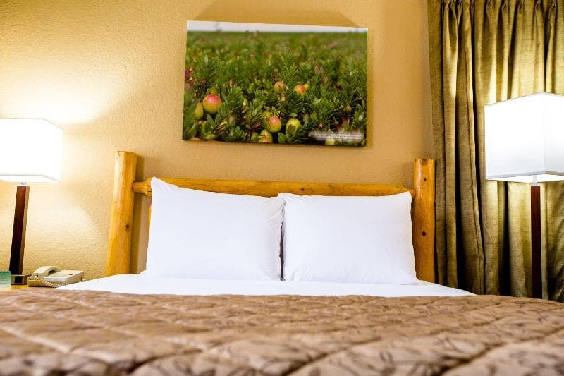 Cranberry Country Lodge 4