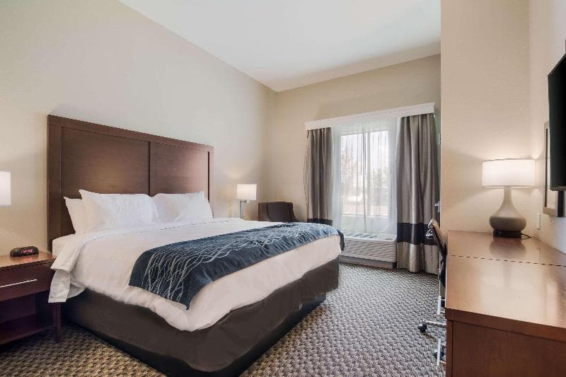 Comfort Inn Suites 4