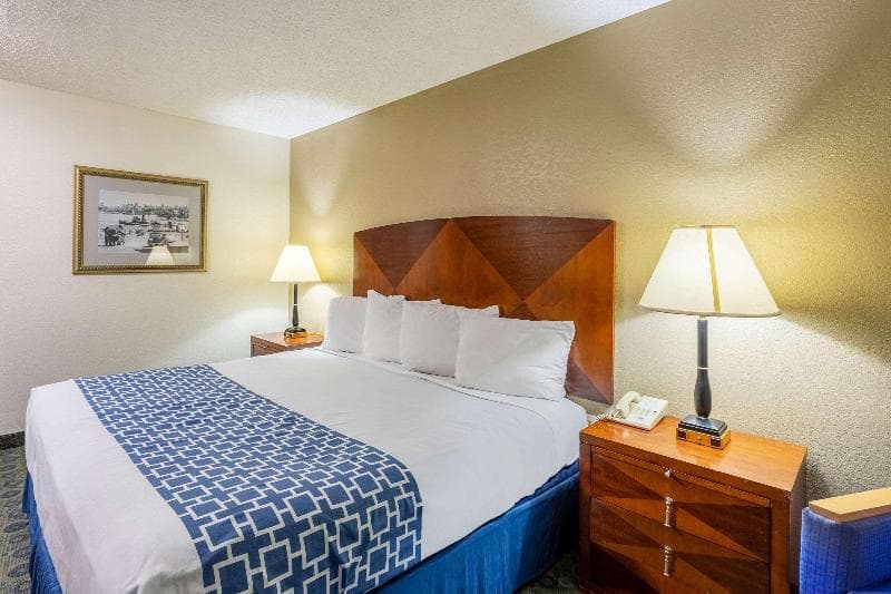 Econo Lodge Inn & Suites Auburn, Mi 3