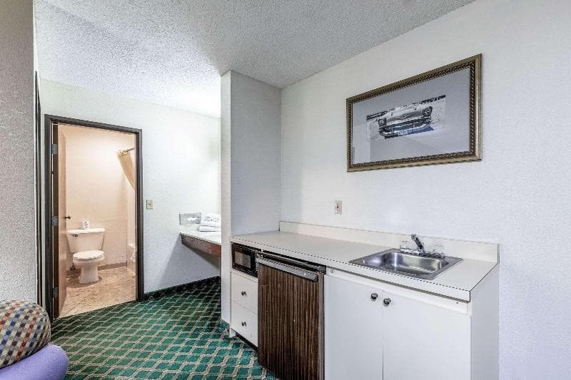 Econo Lodge Inn & Suites Auburn, Mi 4