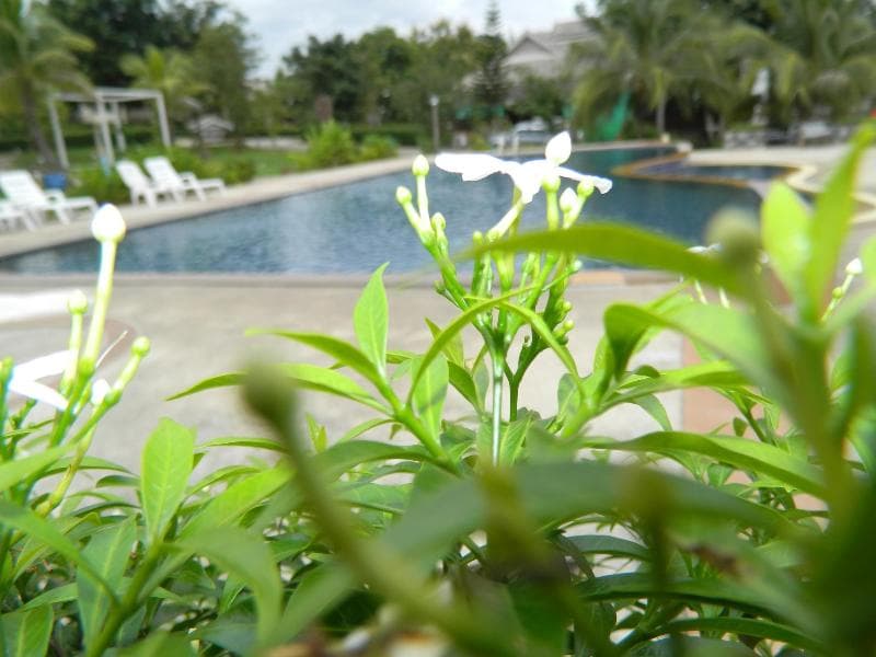 Pai Iyara Resort 3