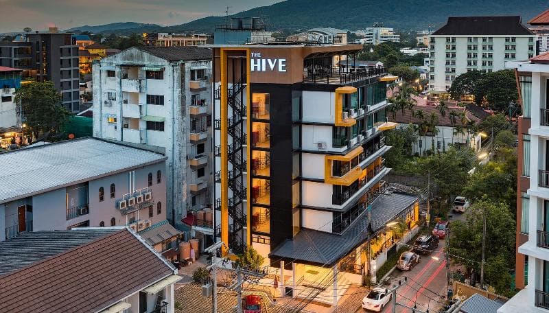 The Hive Chiang Mai photo 1