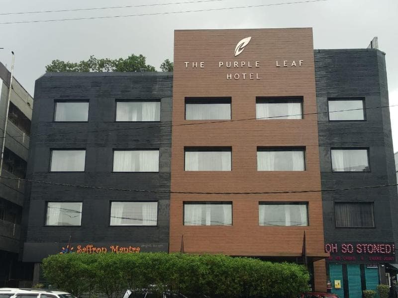 The Purple Leaf Hotels 2