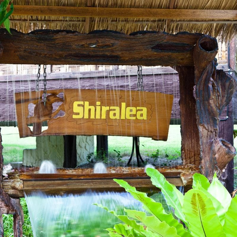 Shiralea Backpackers Resort 3