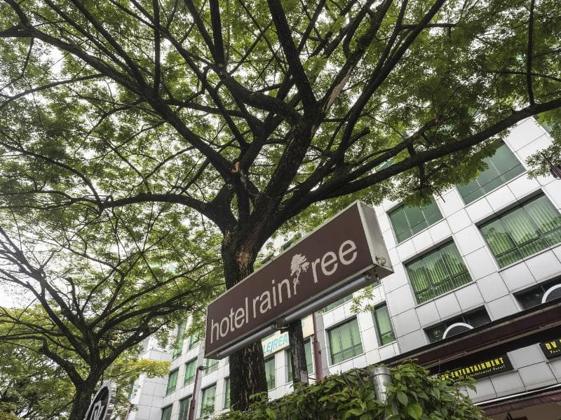 Raintree Hotel 2