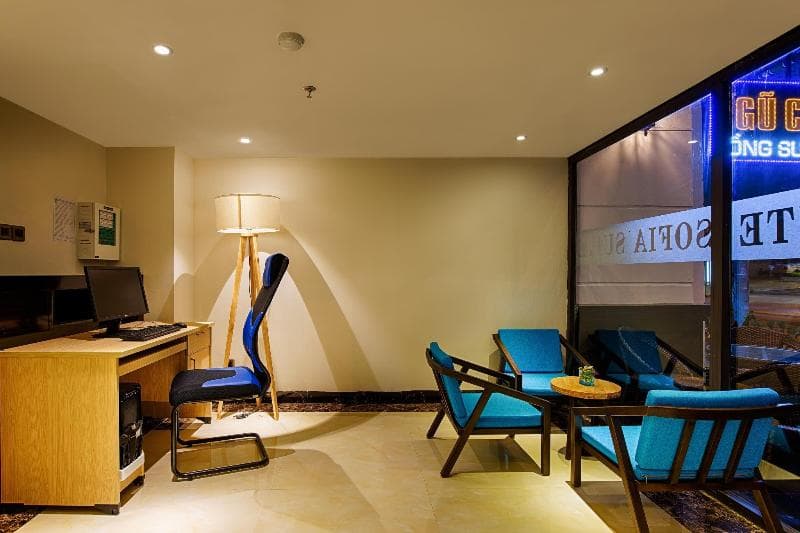 Sofia Suite Hotel Danang 4