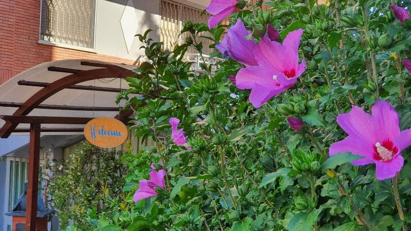 Villa Letizia - Casa Per Ferie photo 1